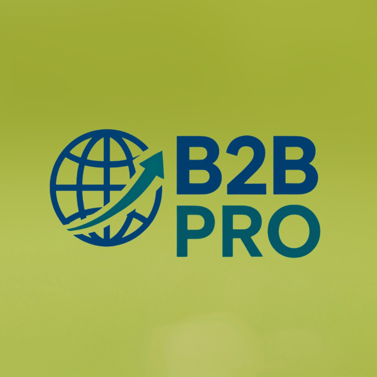 B2B PRO - U.S. expansion specialists